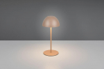Trio Ortiz LED table lamp coffee brown rechargeable gaismeklis R55601165 4017807643374