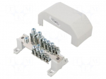 Splice terminal: distribution block | with cover | screw terminal
