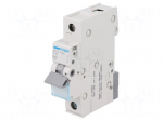 Circuit breaker | 230VAC | Inom: 10A | Poles: 1 | DIN | Charact: C | 6kA