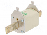 Fuse: fuse | aM | 200A | 690VAC | ceramic,industrial | NH2C | WT-NH
