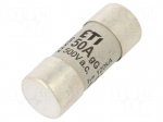 Fuse: fuse | gG | 50A | 500VAC | cylindrical,industrial | 22x58mm