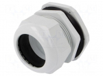 Cable gland | M63 | 1,5 | IP67 | Mat: polyamide | grey