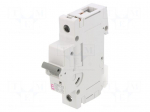 Circuit breaker | 230/400VAC | Inom: 10A | Poles: 1 | Charact: C | 10kA