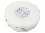 Lamp: LED emergency luminaire | RoundTech | IP44 | white | 0.3W | 150lm