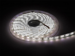 LED ribad // NEON FLEX LED strips // 70-731# Taśma led biały zimny 2835 5m/300wodoodporna