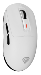 GENESIS Zircon 660 mouse Gaming Right-hand RF Wireless + Bluetooth + USB Type-A Optical 12000 DPI