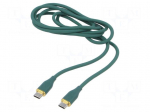 Cable | USB 2.0 | USB C plug,both sides | 1.5m | green | silicone | 60W