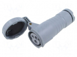 Connector: AC supply 3-phase | plug | female | 16A | IP&S | IEC 60309