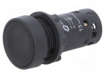 Switch: push-button | Stabl.pos: 1 | NC + NO | 0.3A/240VAC | 22mm | IP65