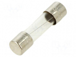 Fuse: fuse | cylindrical,glass | 2A | 250VAC | medium time-lag | 5x20mm