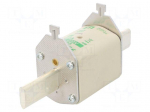 Fuse: fuse | aM | 250A | 690VAC | ceramic,industrial | NH2C | WT-NH