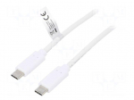 Cable | USB 3.1 | both sides,USB C plug | 1m | white | 10Gbps