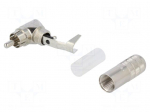 Plug | RCA | male | angled 90&deg; | soldering | silver | nickel plated