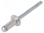 Rivet | aluminium | Rivet diam: 4.8mm | L.rivet: 12mm | 500pcs.