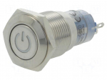 Switch: vandal resistant | Pos: 2 | SPDT | 0.5A/220VAC | 1A/24VDC | IP40