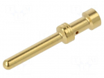 Contact | male | EPIC H-BE 2.5 | gold-plated | 1.5mm2 | crimped