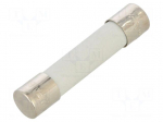 Fuse: fuse | 315mA | 660VAC | ultra rapid | ceramic,cylindrical | A12FA