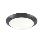 Trio Camaro griestu lampa 33 cm 2xE27 anthracite  R60502042 4017807405934