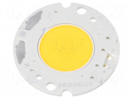 Power LED | COB | 16.3W | 5000K | 2903lm | 120&deg; | Front: flat | CRImin: 70
