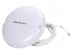 Antenna | white | SMA | 50W | 3.3&divide;3.8GHz | 50&Omega; | 3m | 5dBi | -40&divide;50&deg;C | RG58/U