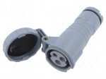 Connector: AC supply 3-phase | plug | female | 16A | IP&S | IEC 60309