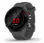 Smart watches Garmin  FORERUNNER 55/Grey 010-02562-13