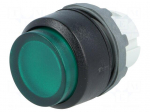 Switch: push-button | Stabl.pos: 2 | 22mm | green | Illumin: MLB-1 | IP66