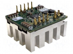 Converter: DC/DC | 1kW | Uin: 18&divide;32VDC | Uout: 3.3&divide;18VDC | Iout: 80A | THT