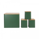 Salter BW12900G Toronto 4-Piece Countertop Set, Green