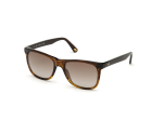 P&auml;ikeseprillid WEB EYEWEAR meestele WE0279-5652G (L&auml;&auml;ts/Sild/K&otilde;rvakaar) 56/19/145 mm