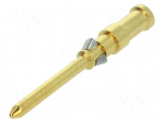 Contact | male | 0.75mm2 | 18AWG | Han D HMC,Han DD HMC | gold-plated