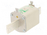 Fuse: fuse | aM | 300A | 690VAC | ceramic,industrial | NH2 | WT-NH
