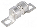 Fuse: fuse | 32A | 240VAC | 150VDC | ceramic,industrial | LET