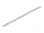 LED tape | white cold | 2835 | LED/m: 120 | 10mm | white PCB | IP65 | 120&deg;
