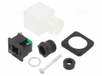 Plug for coil | IP65 | natural (transparent) | 24V