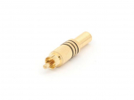 RCA PLUG MALE - GOLD - BLACK