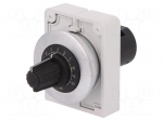 Potentiometer | 30mm | RMQ-Titan | -25&divide;70&deg;C | &Oslash;30.5mm | IP66 | 1000k&Omega;