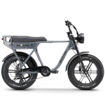 Elektrijalgratas APE RYDER 20 A10 hall