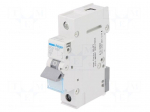 Circuit breaker | 230VAC | Inom: 25A | Poles: 1 | DIN | Charact: C | 6kA