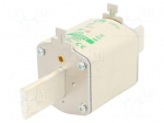 Fuse: fuse | aM | 315A | 690VAC | ceramic,industrial | NH2 | WT-NH