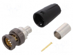 Connector: BNC | plug | male | straight | 75&Omega; | crimped | gold-plated