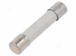 Fuse: fuse | 4A | 250VAC | 125VDC | ultra rapid | ceramic,cylindrical