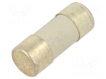 Fuse: fuse | 25A | 690VAC | gG | ceramic | 22x58mm