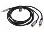 Cable | RCA plug x2,USB C plug | gold-plated | 0.5m | black | Cu | 29AWG