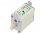 Fuse: fuse | 160A | 500VAC | aM | ceramic,industrial | NH00