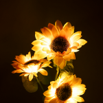 Dekoratiivne pidulik valgustus | J&otilde;uluvalgustus // LED j&otilde;ulukaunistused // Ozdobne ogrodowe lampki solarne Rebel   - słonecznik