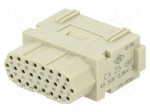 Connector: HDC | contact insert | female | MIXO | PIN: 25 | 4A | 600V