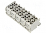 Splice terminal: distribution block | for DIN rail mounting