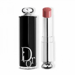 Dior Addict Shine Lipstick 422 Rose Des Vents