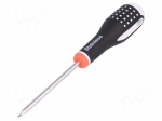 Screwdriver | Phillips | PH2 | Blade length: 100mm